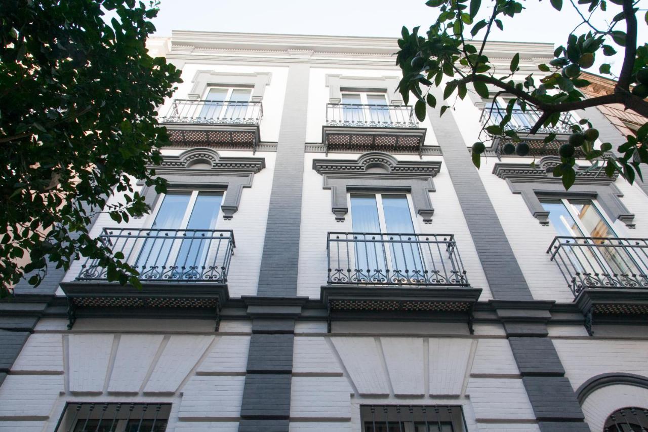 Isg Cedaceros 12 * Sevilha